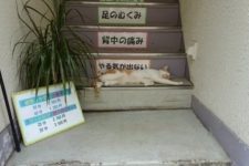 cb14b49b4a301e1e30fc95dedb7fac74