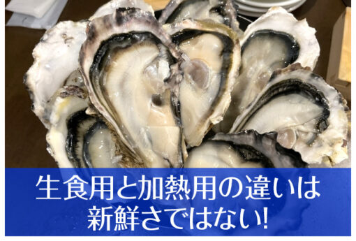 oysters