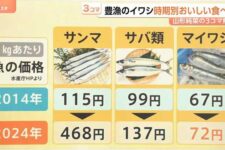 19c998bc2869a554f450fb6c78ece28f_1775564656_3